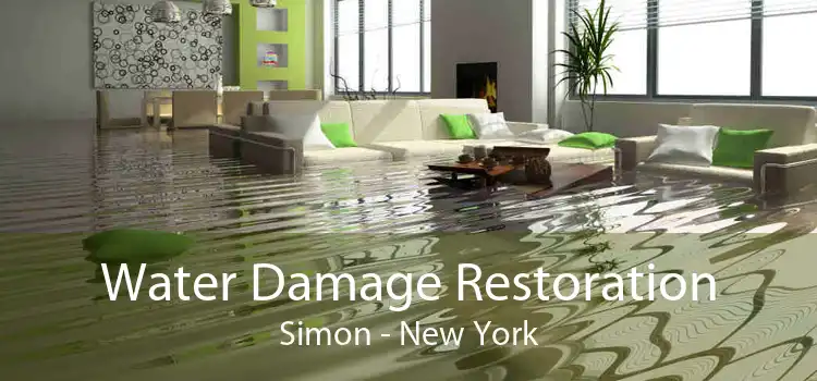 Water Damage Restoration Simon - New York