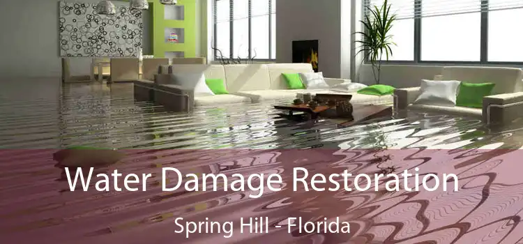 Water Damage Restoration Spring Hill - Florida