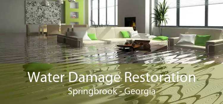 Water Damage Restoration Springbrook - Georgia