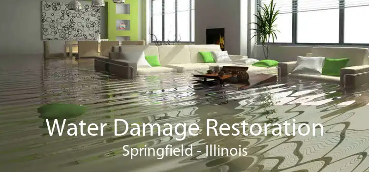 Water Damage Restoration Springfield - Illinois