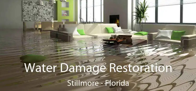 Water Damage Restoration Stillmore - Florida