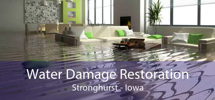 Water Damage Restoration Stronghurst - Iowa