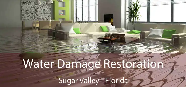 Water Damage Restoration Sugar Valley - Florida