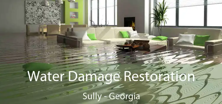 Water Damage Restoration Sully - Georgia