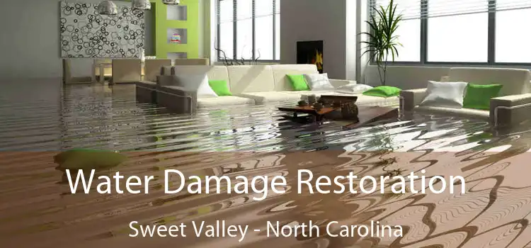 Water Damage Restoration Sweet Valley - North Carolina