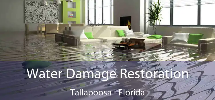 Water Damage Restoration Tallapoosa - Florida