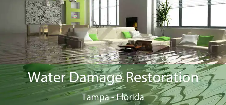 Water Damage Restoration Tampa - Florida