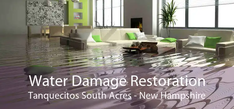 Water Damage Restoration Tanquecitos South Acres - New Hampshire