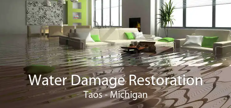 Water Damage Restoration Taos - Michigan