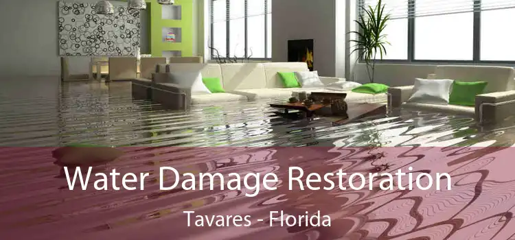 Water Damage Restoration Tavares - Florida