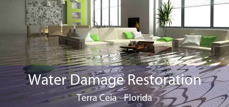 Water Damage Restoration Terra Ceia - Florida