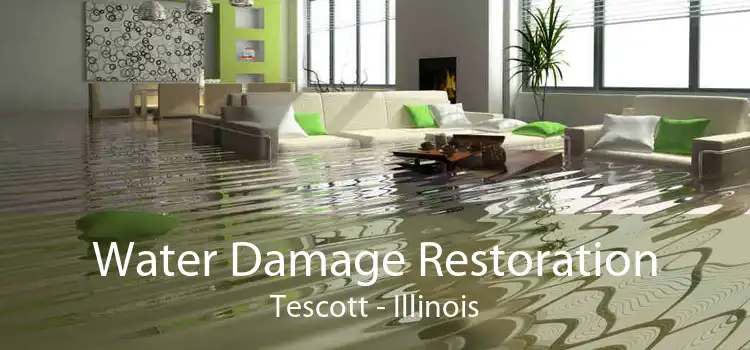 Water Damage Restoration Tescott - Illinois
