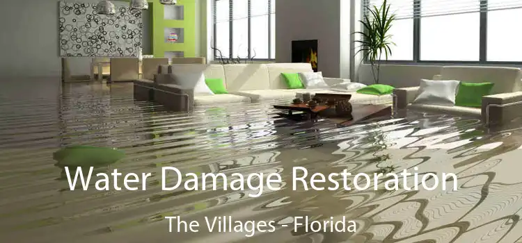 Water Damage Restoration The Villages - Florida