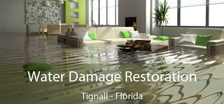 Water Damage Restoration Tignall - Florida