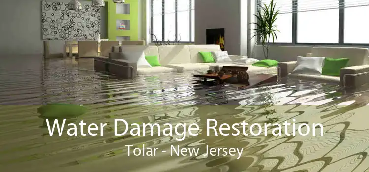 Water Damage Restoration Tolar - New Jersey