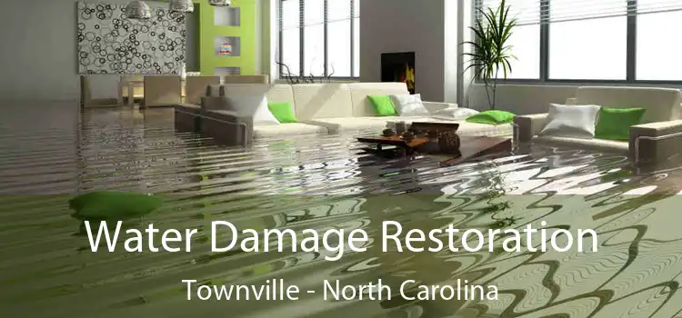 Water Damage Restoration Townville - North Carolina