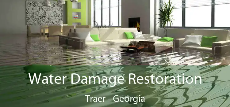 Water Damage Restoration Traer - Georgia