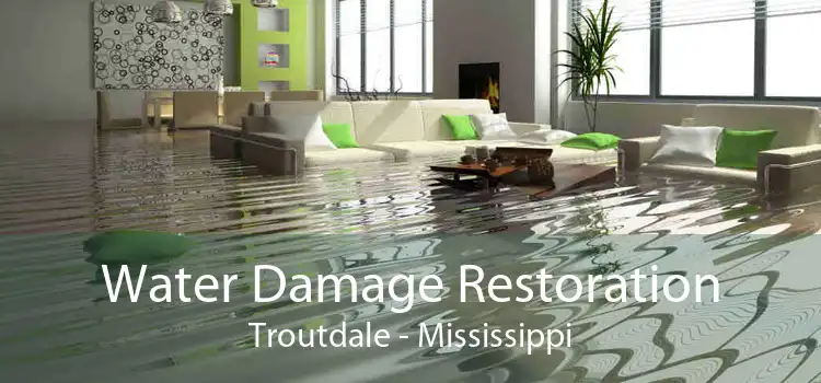 Water Damage Restoration Troutdale - Mississippi