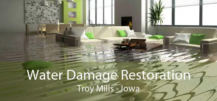 Water Damage Restoration Troy Mills - Iowa
