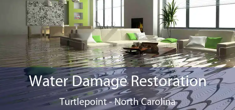 Water Damage Restoration Turtlepoint - North Carolina