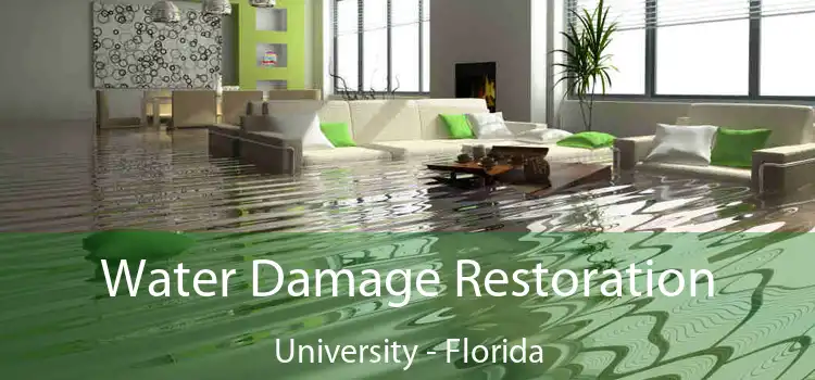 Water Damage Restoration University - Florida