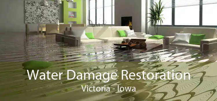Water Damage Restoration Victoria - Iowa