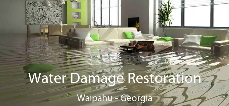 Water Damage Restoration Waipahu - Georgia