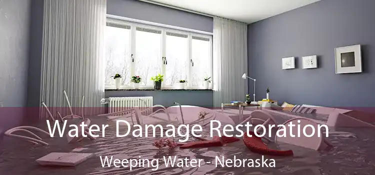 Water Damage Restoration Weeping Water - Nebraska