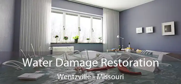 Water Damage Restoration Wentzville - Missouri