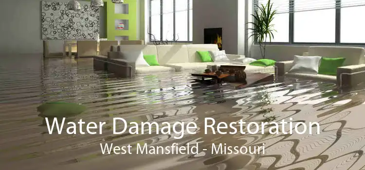 Water Damage Restoration West Mansfield - Missouri