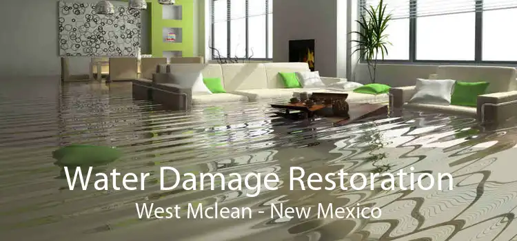 Water Damage Restoration West Mclean - New Mexico