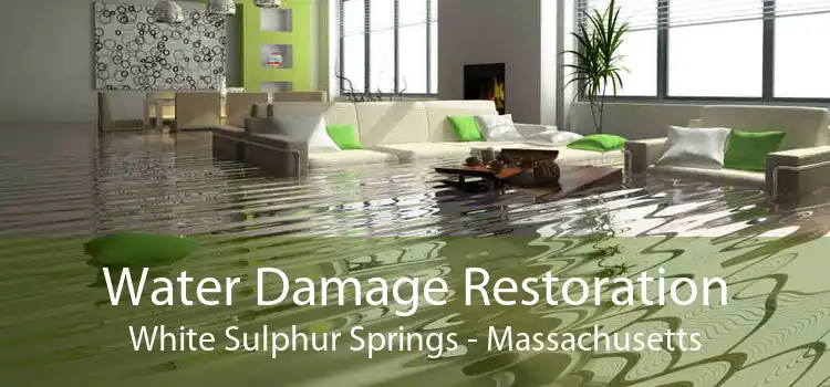 Water Damage Restoration White Sulphur Springs - Massachusetts