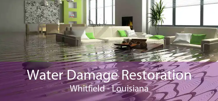 Water Damage Restoration Whitfield - Louisiana