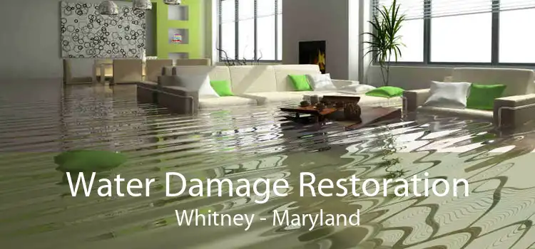 Water Damage Restoration Whitney - Maryland