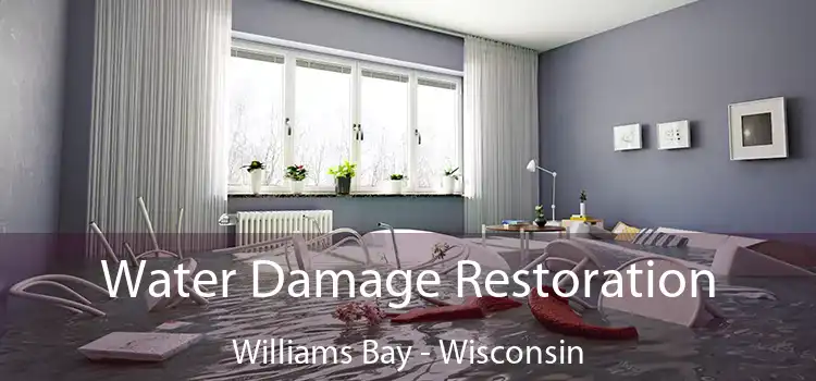 Water Damage Restoration Williams Bay - Wisconsin