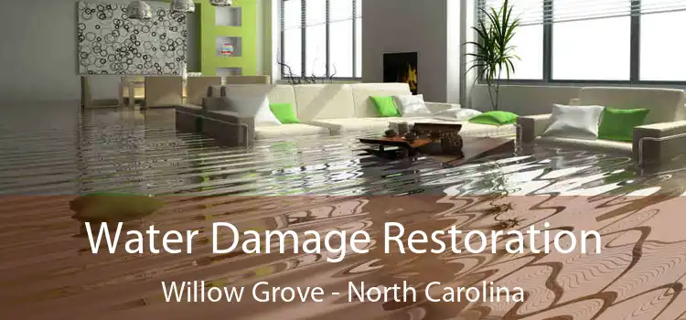 Water Damage Restoration Willow Grove - North Carolina