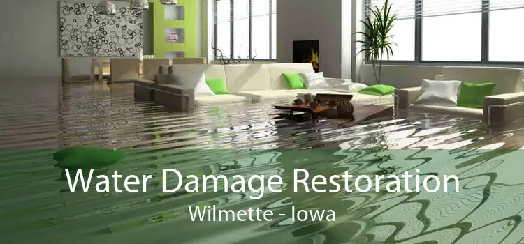 Water Damage Restoration Wilmette - Iowa