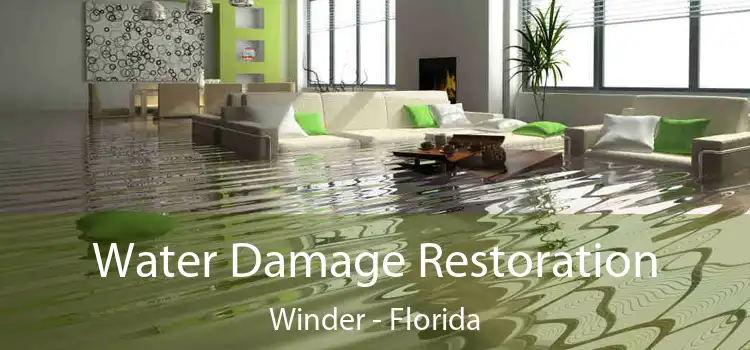 Water Damage Restoration Winder - Florida