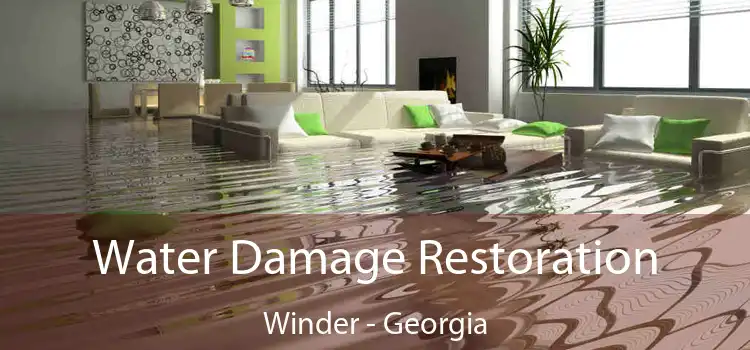 Water Damage Restoration Winder - Georgia