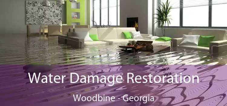 Water Damage Restoration Woodbine - Georgia