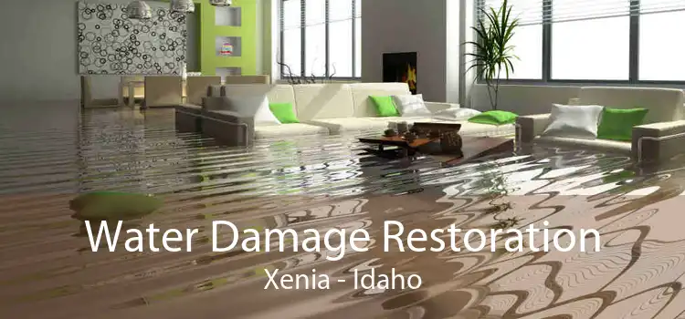 Water Damage Restoration Xenia - Idaho