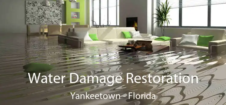 Water Damage Restoration Yankeetown - Florida