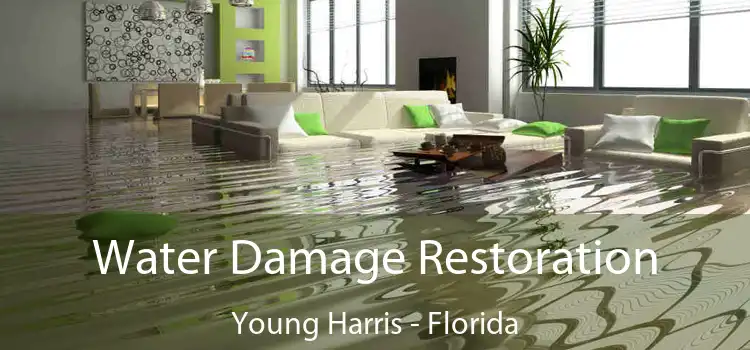 Water Damage Restoration Young Harris - Florida