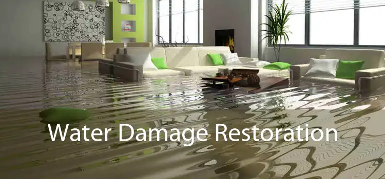 Water Damage Restoration 