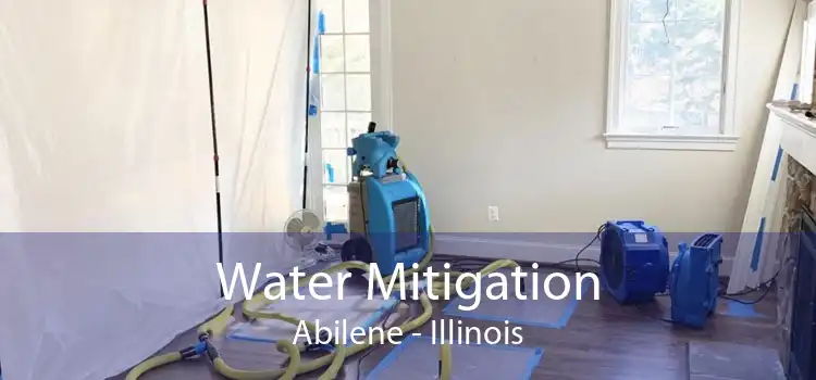 Water Mitigation Abilene - Illinois