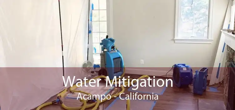 Water Mitigation Acampo - California