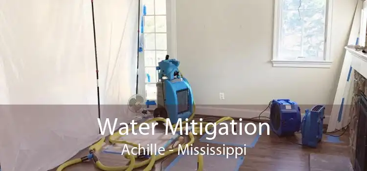 Water Mitigation Achille - Mississippi