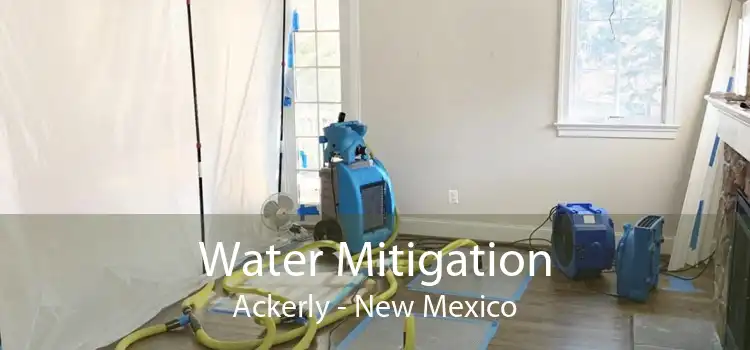 Water Mitigation Ackerly - New Mexico