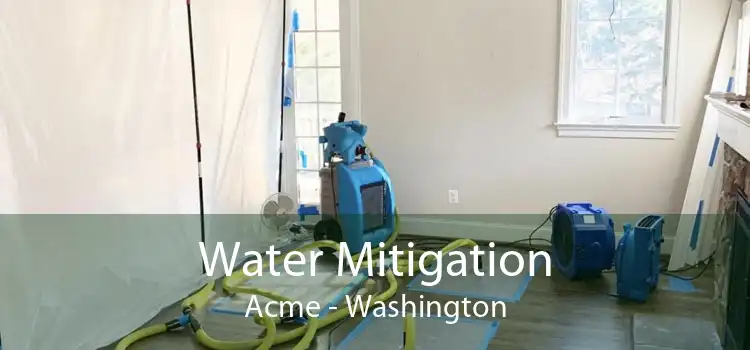 Water Mitigation Acme - Washington