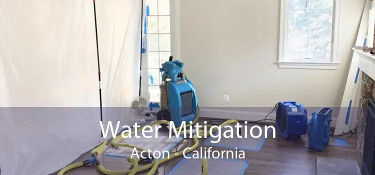 Water Mitigation Acton - California
